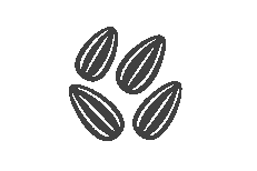 SEEDS