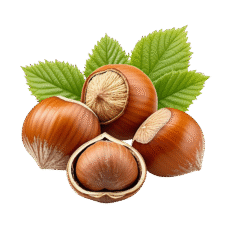HAZEL NUTS