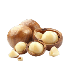 MACADAMIA