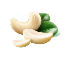 CASHEWS
