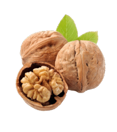 WALNUTS