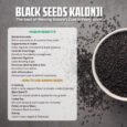 Black Seeds Kalonji Post-03