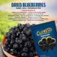 Blueberries Dried Post-02