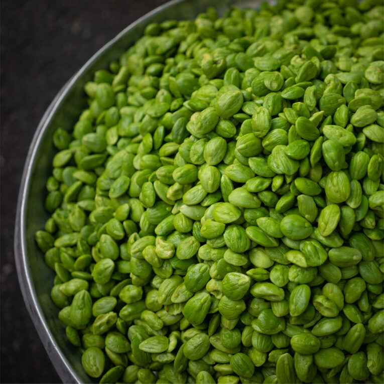 Buckwheat Post-061 (4)