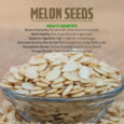 Char Magaz Melon Seeds-011 (2)