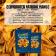 Dehydrated Natural Mango Post-01
