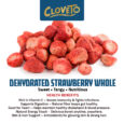 Dehydrated Strawberry Whole Post-02