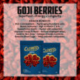 Goji Berries Post-02