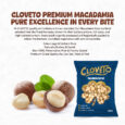 Macadamia Post 01-01