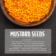 Mustard Seeds Yellow-01q (3)