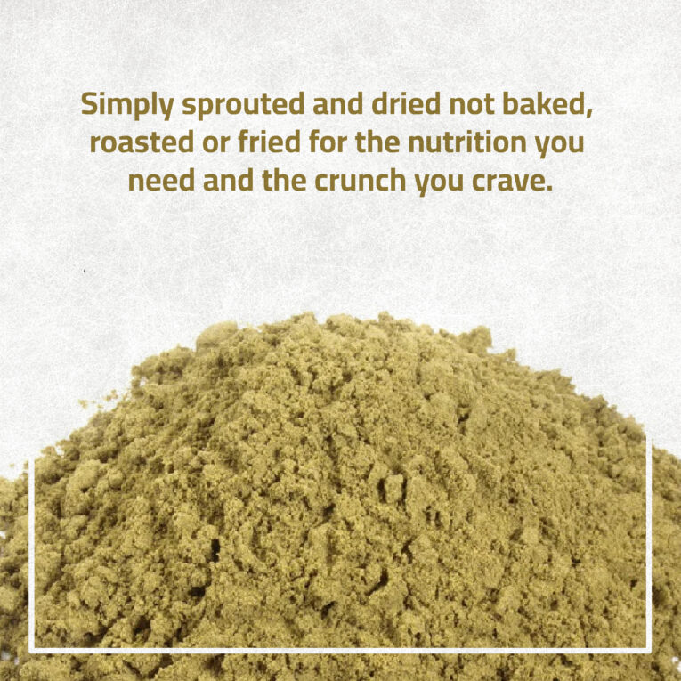 PUMPKIN SEED Post-04