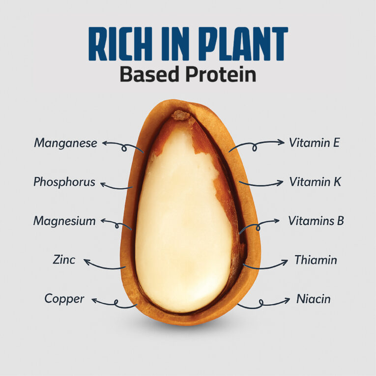 Pine Seed Post-103 (2)