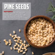 Pine Seed Post-103 (3)