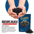 Raisins Black Jumbo Post 1-01