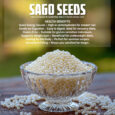 Sago Seed Pos2t-03 (1)
