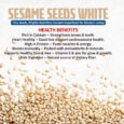 Sesame Seed White-014 (3)